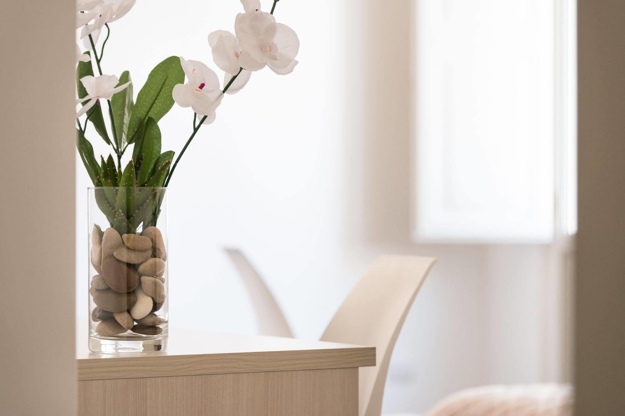 Gatto Bianco La Dimora Storica Bed & Breakfast Lecce